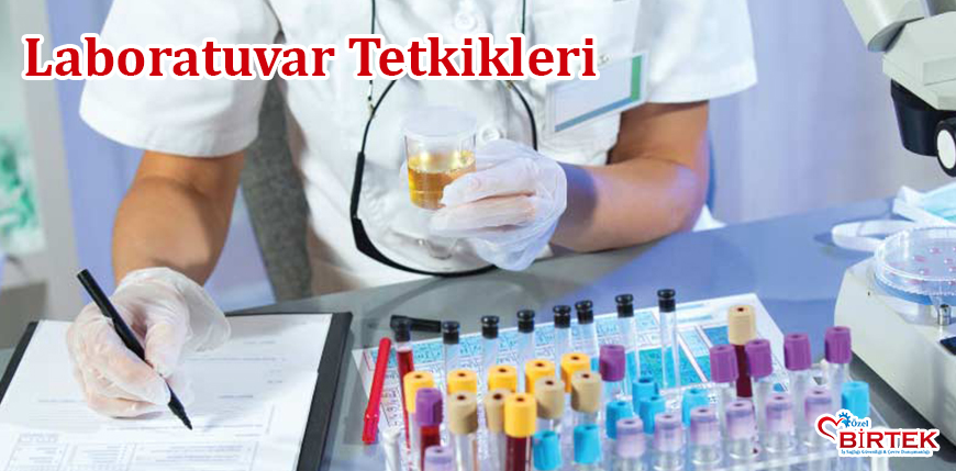 işyeri laboratuvar tetkikleri